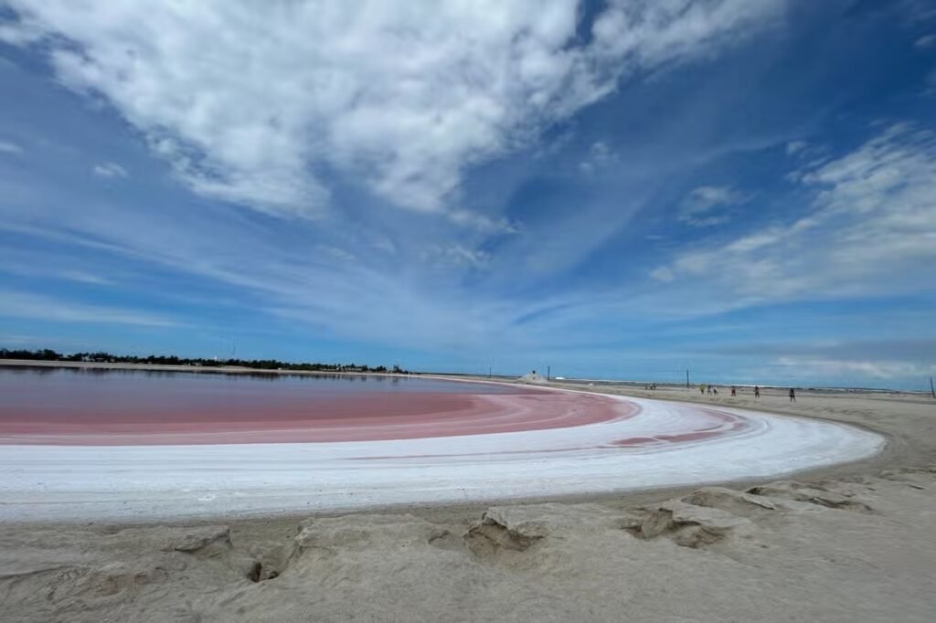 Coloradas+Rio Lagartos