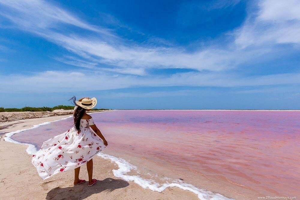 Coloradas+Rio Lagartos