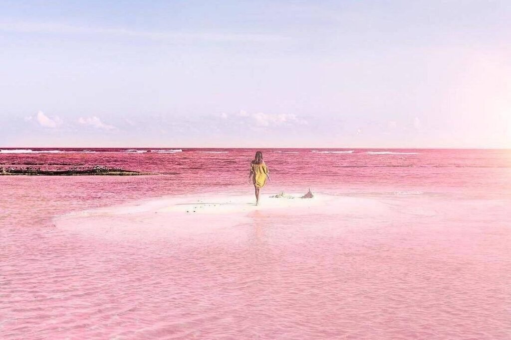 Coloradas+Rio Lagartos