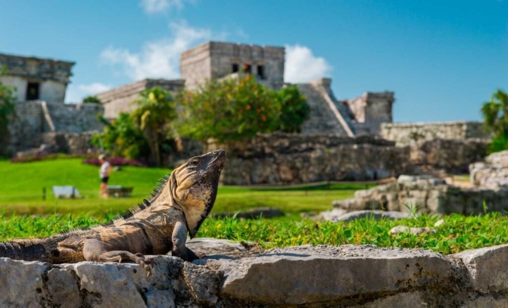 Tulum Casa Tortuga+Madre Naturaleza