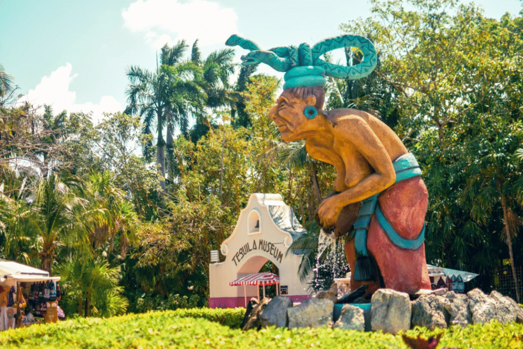 Chankanaab Aventura Todo Incluido Sin Ticket Ferry