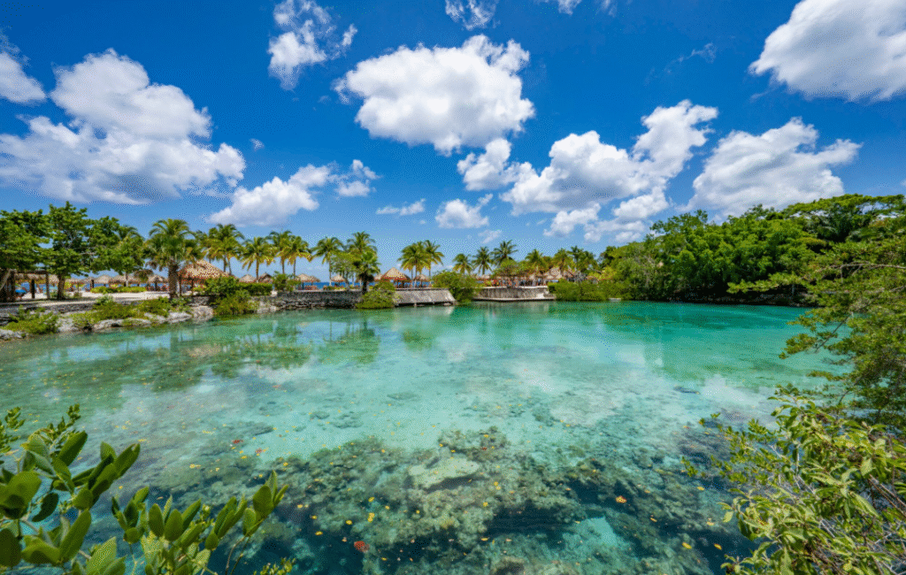 Chankanaab Aventura Todo Incluido Sin Ticket Ferry