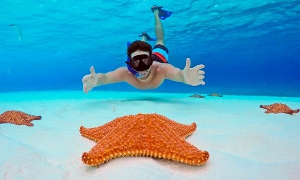 Isla Mía Roots Cozumel