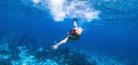 Isla Mía Roots Cozumel