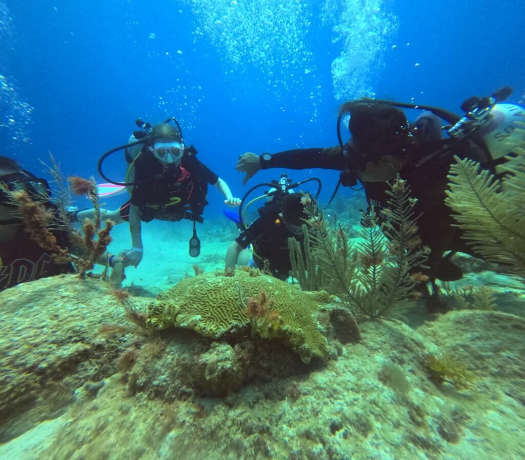 Buceo Discovery Cozumel