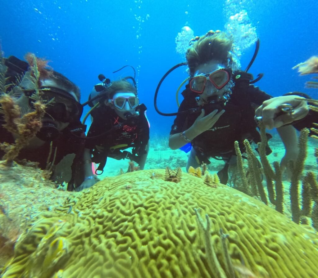 Buceo Discovery Cozumel