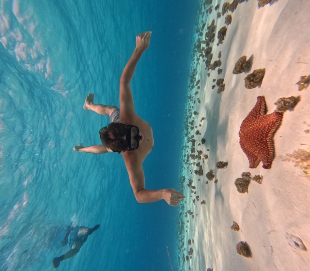 Buceo Discovery Cozumel