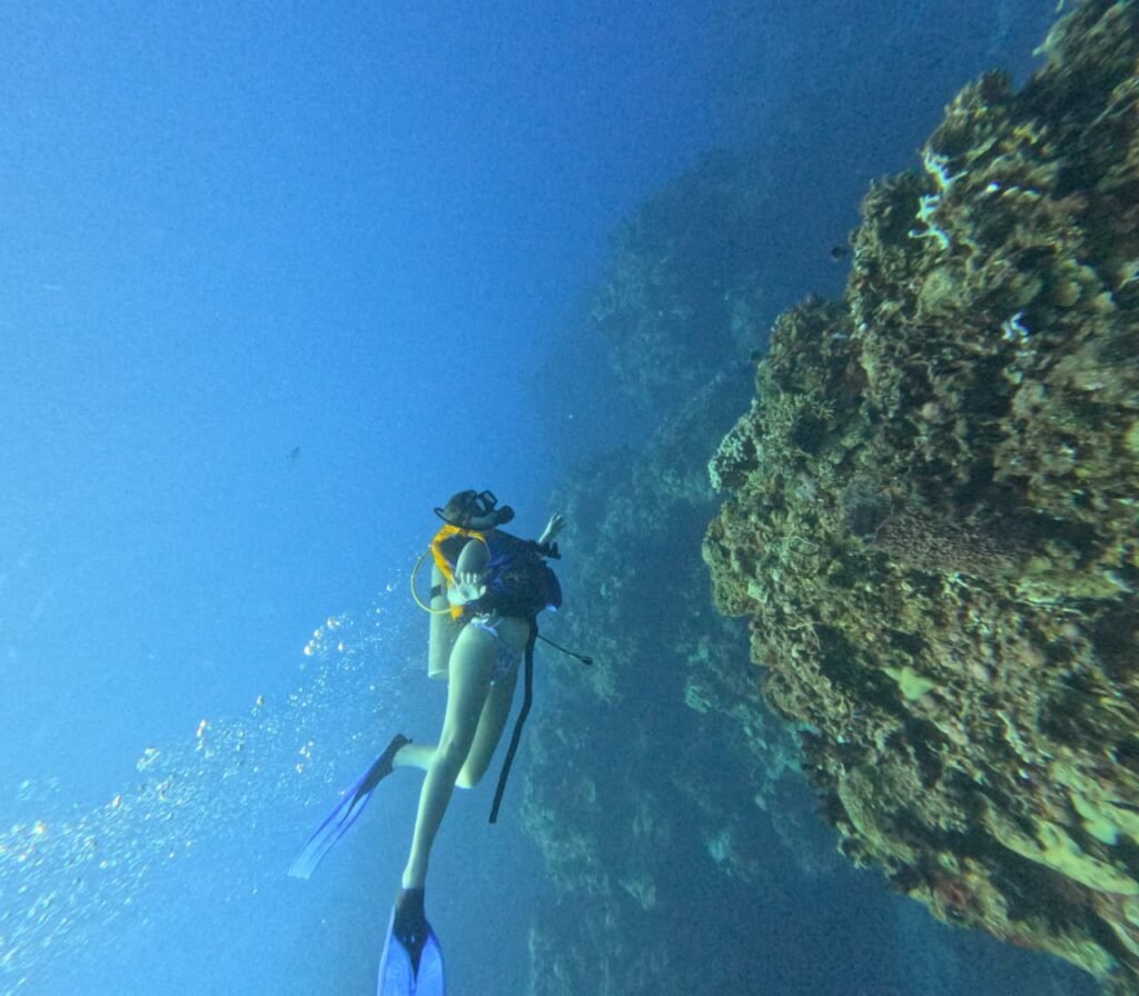 Buceo Discovery Cozumel