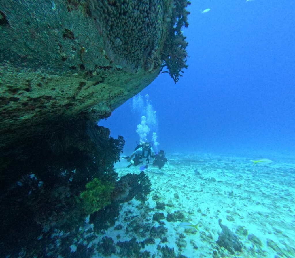 Buceo Discovery Cozumel
