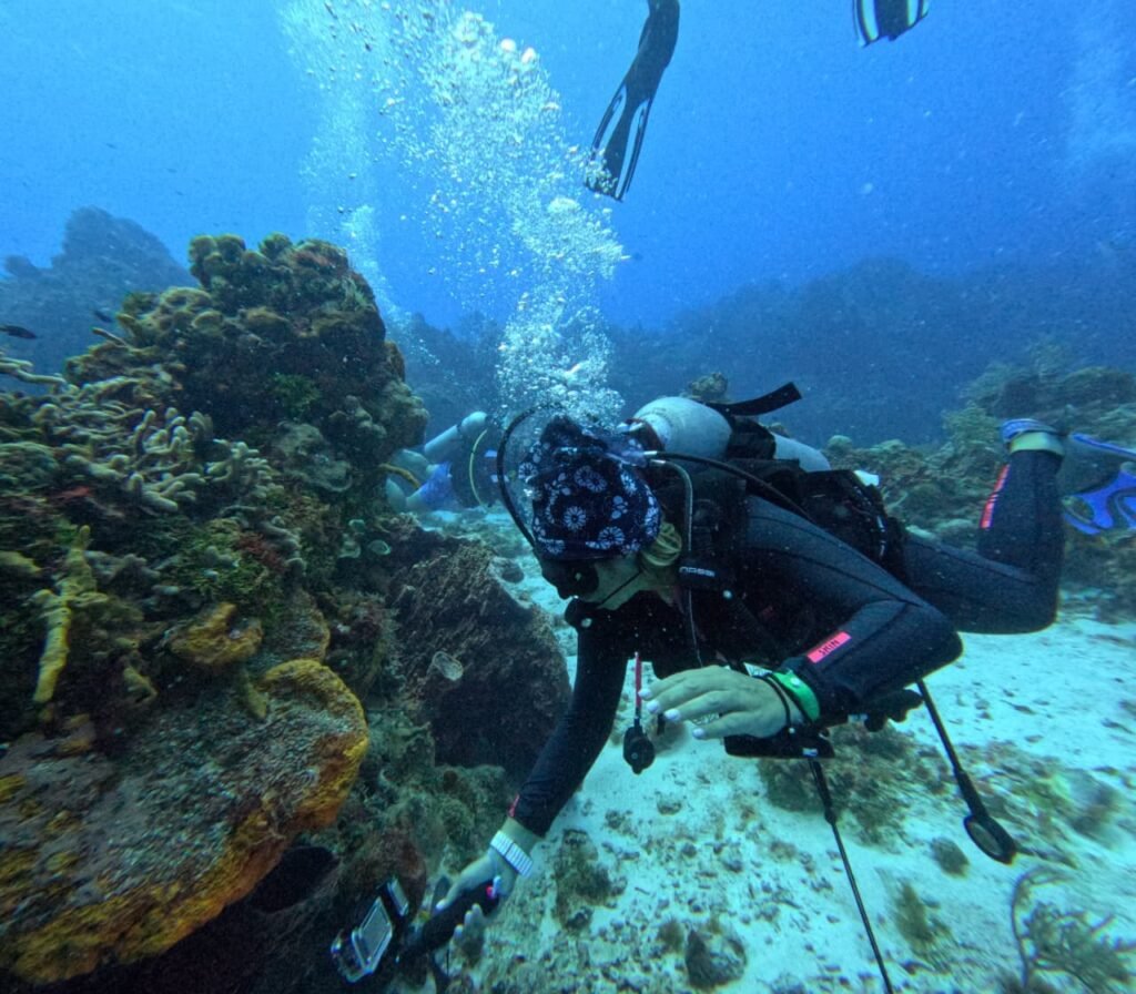 Buceo Discovery Cozumel