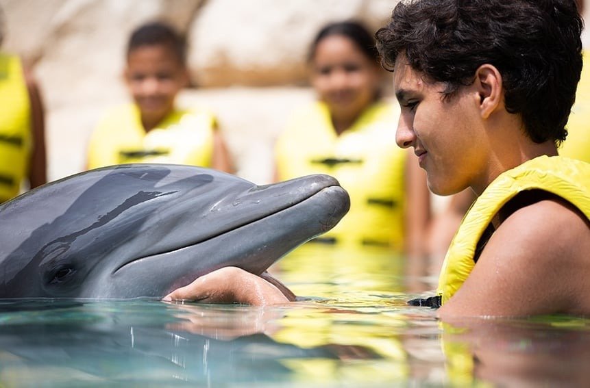 Delfines Nado Cozumel