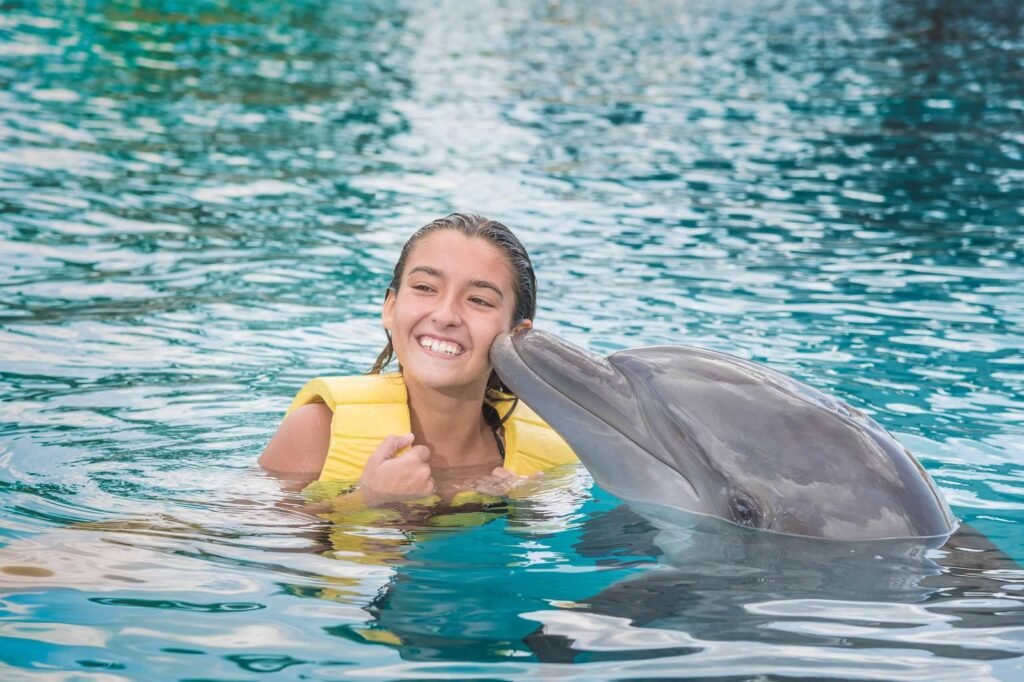 Delfines Nado Cozumel