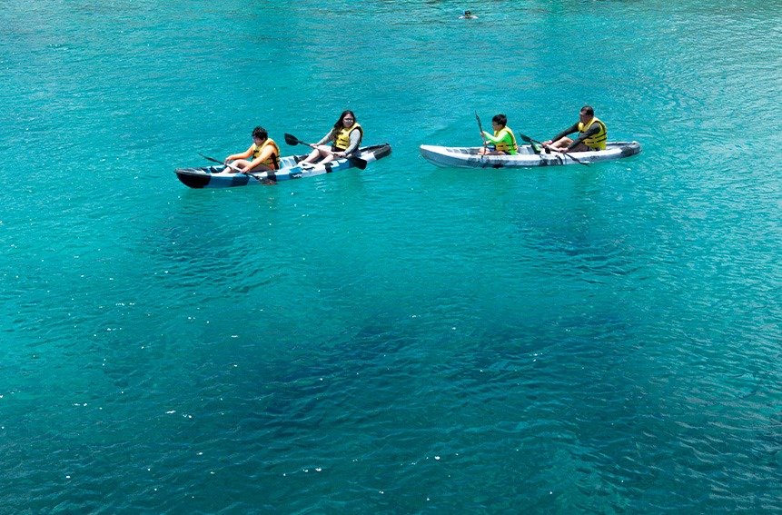 Delfines Nado Cozumel PROMO LATINOS-MEXICANOS