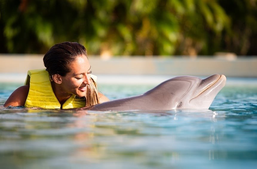Delfines Nado Cozumel