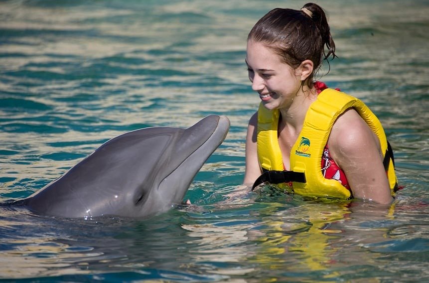 Delfines Nado Cozumel