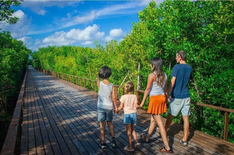 KUZA DELUXE PASS+RAZOR/BUGGY ADVENTURE