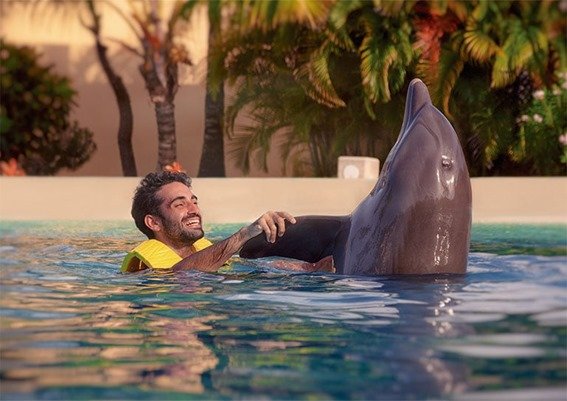 Delfines Nado Cozumel
