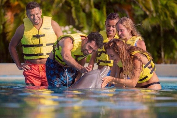 Delfines Nado Cozumel PROMO LATINOS-MEXICANOS