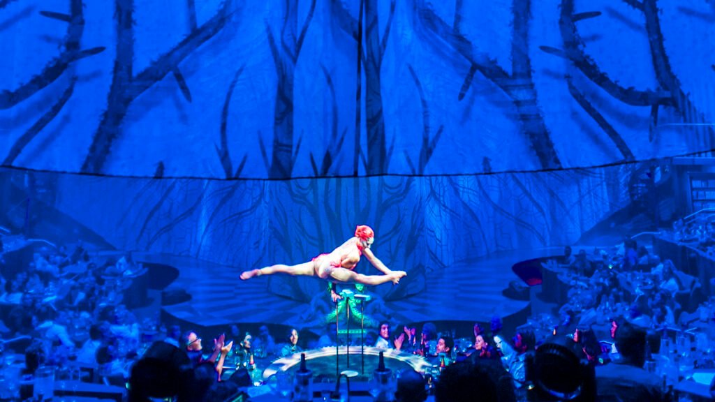 CIRQUE DU SOLEI JOYA VIP